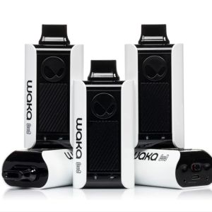 WAKA SoPro PA10000 Blueberry Raspberry