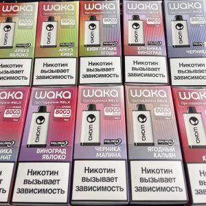 WAKA DM41 8000 Черника Малина