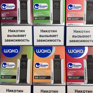 WAKA SoPro PA10000 Ягодный Тархун