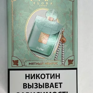 Puffmi Lora 25000 Мятный Ментос
